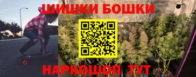 крисы Гагарин