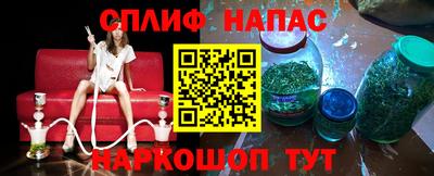 крисы Гагарин