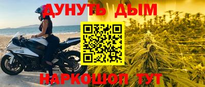 крисы Гагарин