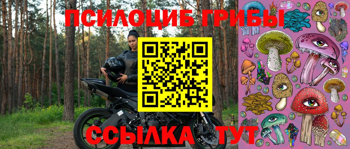 Псилоцибиновые грибы MAGIC MUSHROOMS  Вход с VPN  купить наркотики цена  Мытищи 